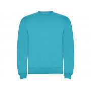 Свитшот с начесом «Clasica» детский арт. 1070412