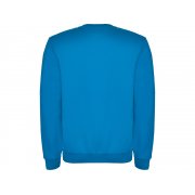 Свитшот с начесом «Clasica» детский арт. 10704100