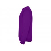 Свитшот с начесом «Clasica» детский арт. 1070471