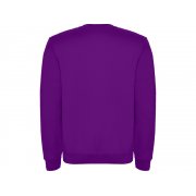 Свитшот с начесом «Clasica» детский арт. 1070471