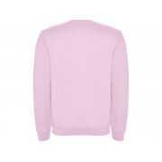 Свитшот с начесом «Clasica» детский арт. 1070448