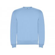 Свитшот с начесом «Clasica» детский арт. 1070410