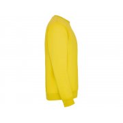 Свитшот с начесом «Clasica» детский арт. 1070403