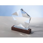 Награда «Interstellar»