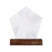 Награда «Interstellar»