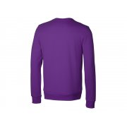 Свитшот «Motion» с начесом, унисекс арт. 172536