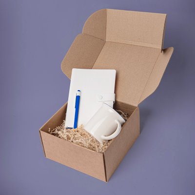 Набор подарочный : кружка, блокнот, ручка, коробка, стружка, белый с синим Белый