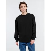 Футболка оверсайз унисекс с длинным рукавом Сity Sapiens, черная арт. 16418.30