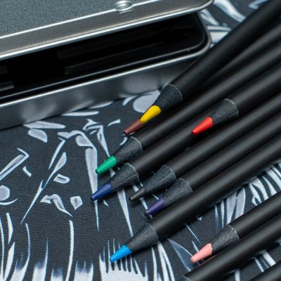 Набор цветных карандашей PROFESSIONAL, 12 цветов серебристый