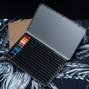 Цветные карандаши PROFESSIONAL, 12 цветов серебристый