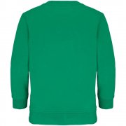 Свитшот детский Columbia Kids, ярко-зеленый