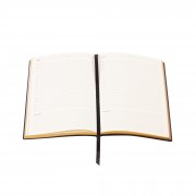 Ежедневник недатированный "Аскона", А5 черный с золотом