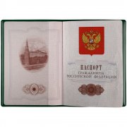 Обложка для паспорта Dorset, зеленая арт. 12650.90 Обложка для паспорта Dorset, зеленая арт. 12650.90