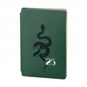 Ежедневник недатированный "Альба", формат А5, гибкая обложка зеленый