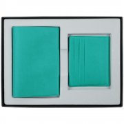 Набор Devon Mini, бирюзовый арт. 17226.49