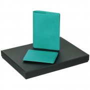 Набор Devon Mini, бирюзовый арт. 17226.49