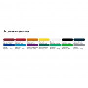 Лента для бейджа с печатью TermoPrint Double на заказ арт. 18952.03 Лента для бейджа с печатью TermoPrint Double на заказ арт. 18952.03