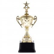 Кубок Top Star, золотистый