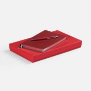 Набор Petrus, красный арт. 20226.50