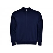 Толстовка на молнии «Elbrus», мужская арт. 1103CQ55