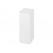 Бутылка спортивная из стали «Коста-Рика», 600 мл