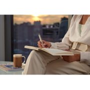 Ручка шариковая Parker IM