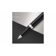 Ручка шариковая Parker IM
