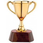 Кубки и медали